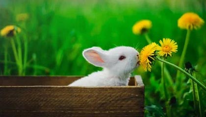 常州队终于迎来首球+首胜，蕞红啦啦队为常州队跳起胜利之舞